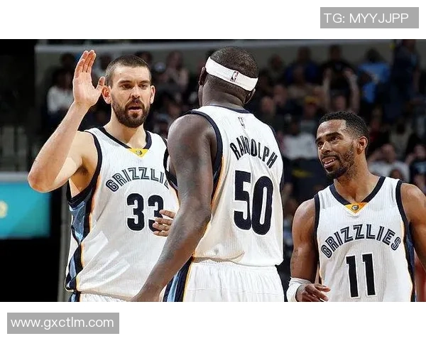 灰熊与小牛精彩对决在线直播全程回顾与分析