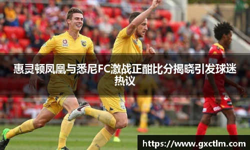 惠灵顿凤凰与悉尼FC激战正酣比分揭晓引发球迷热议